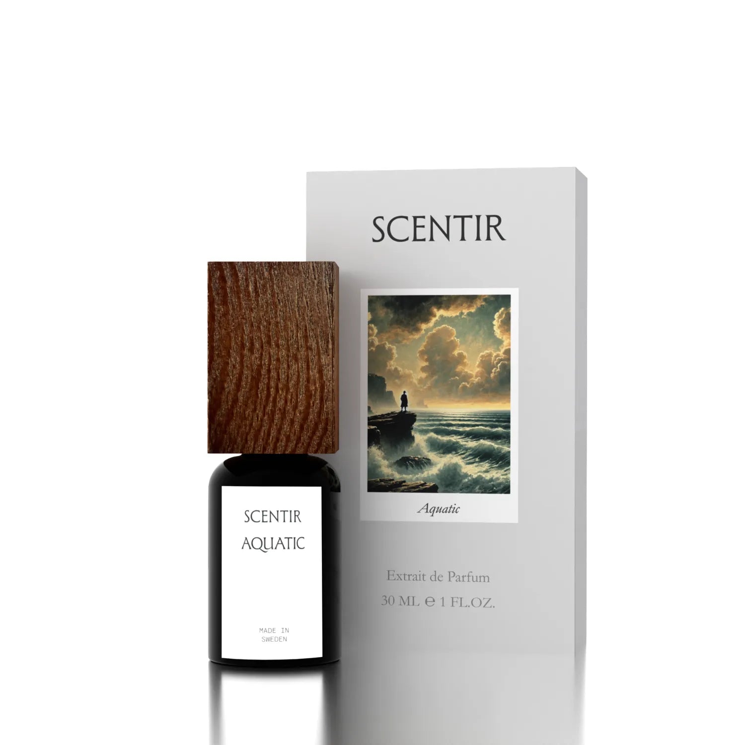 Aquatic I.A. L’Immensité